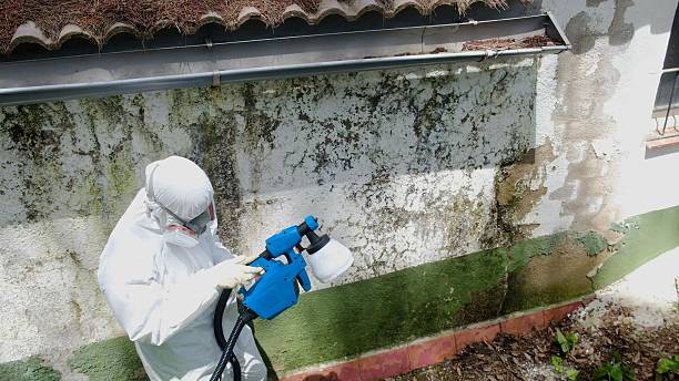 Top rated local Mold Inspection And Testing specialists in Quincy, FL